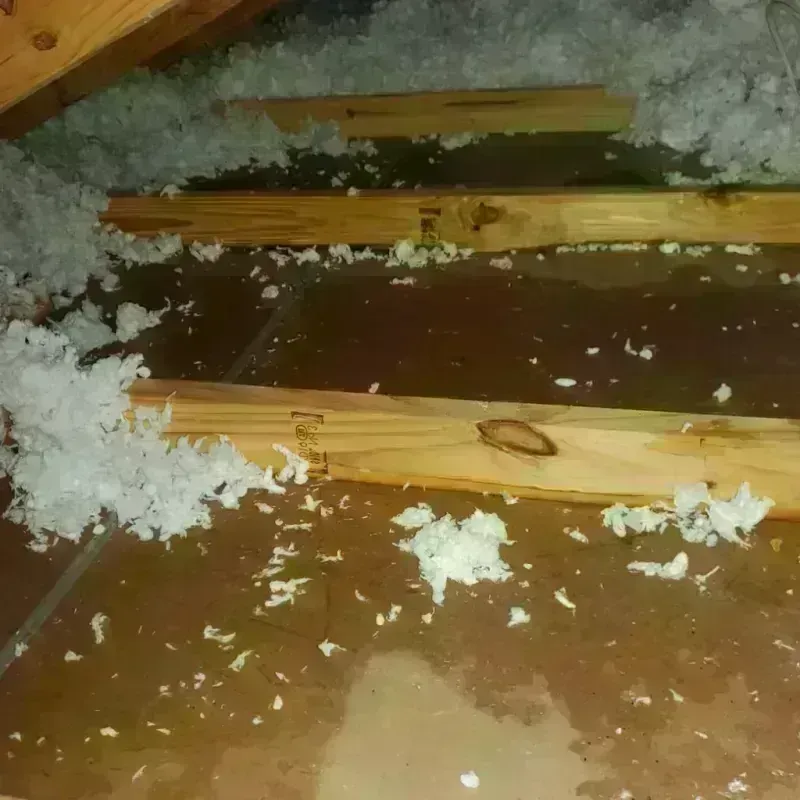 Attic Water Damage in Locust Fork, AL